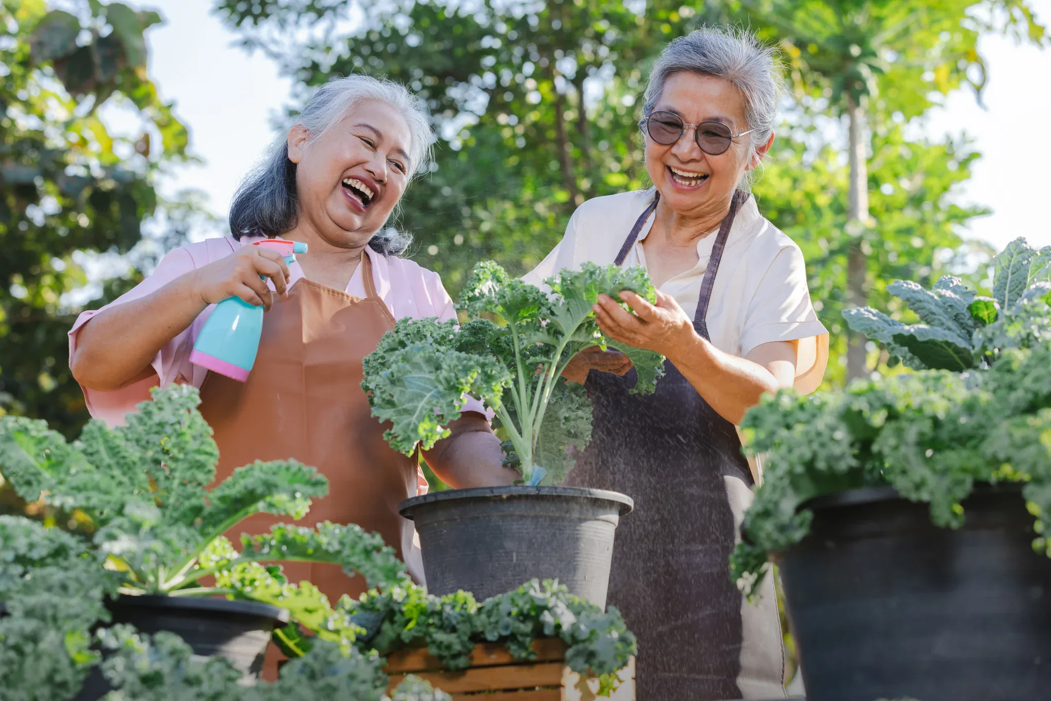 Hai cư dân cao tuổi cười vui khi chăm sóc vườn rau