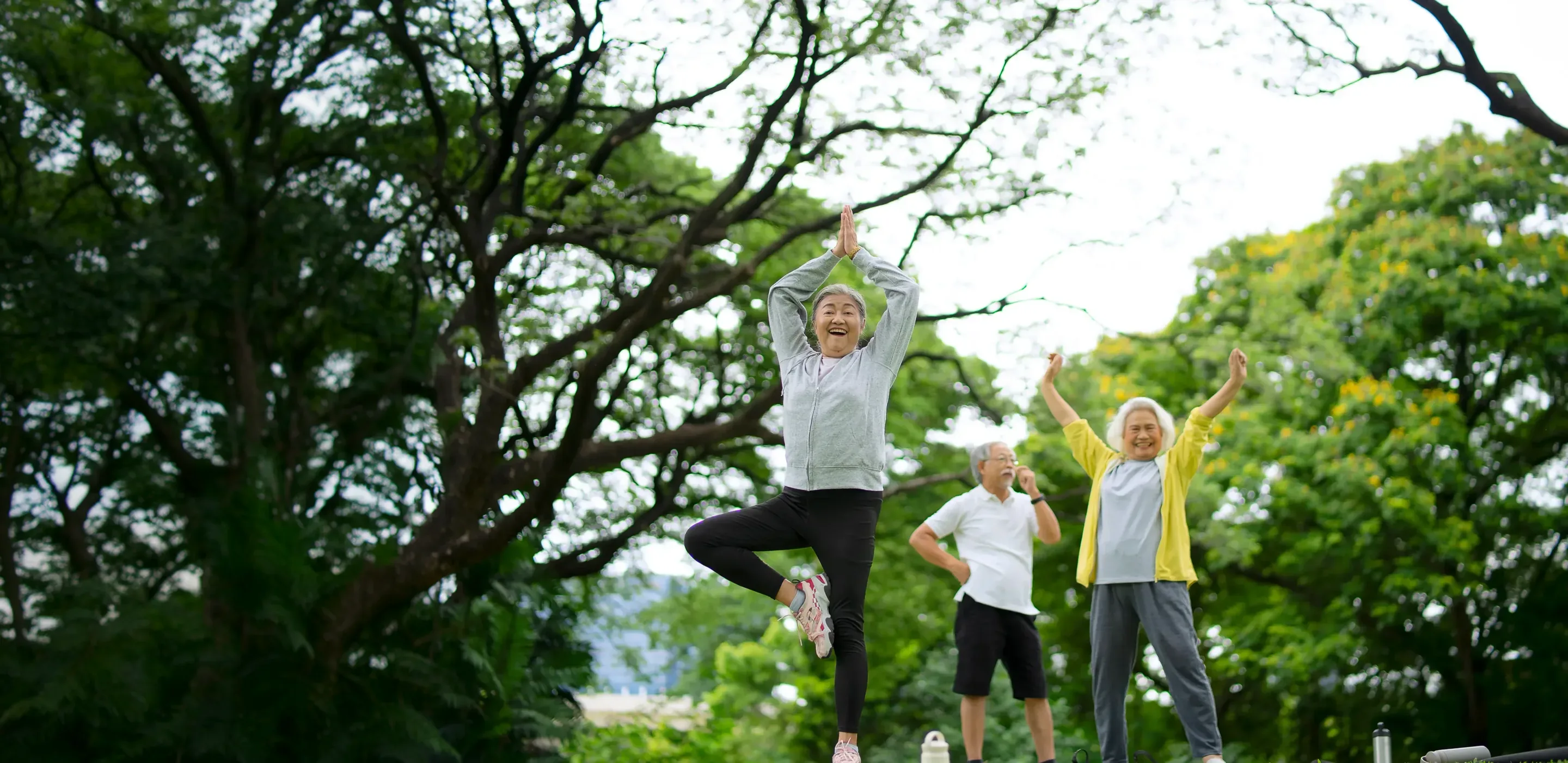 Ba người lớn tuổi tươi cười tập dưỡng sinh dưới tán cây xanh